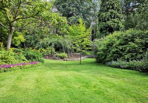 Optimiser l'expérience du jardin à Montenach